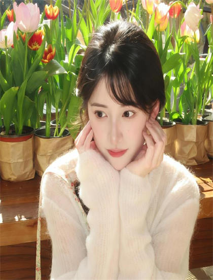 《木马屠城》有哪些精彩看点？亮点情节详细专业解析